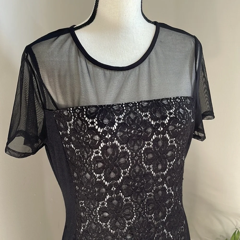 Julienne W   Sheer and Lacy Little Black Dress   Short Sleeves XL